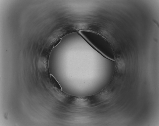 X0000103420380200809191643