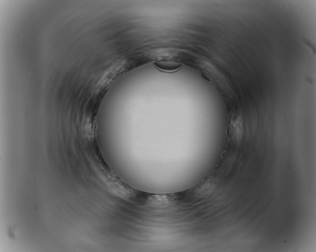 X0000103420381200809191643