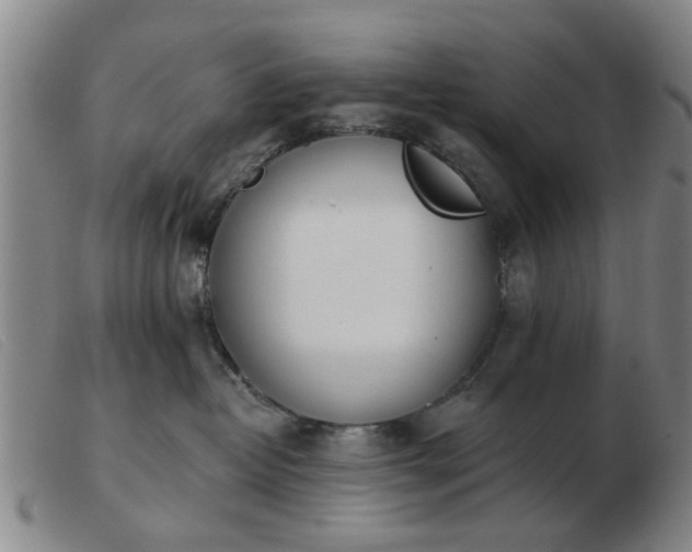 X0000103420382200809191643