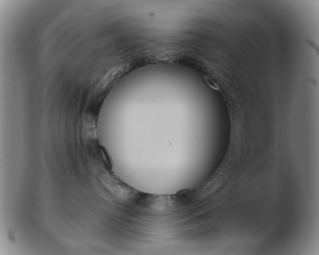 X0000103420384200809191643