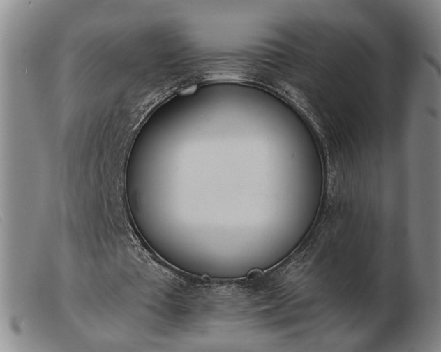 X0000103420385200809191642