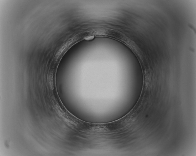 X0000103420386200809191642