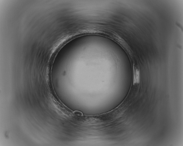 X0000103420387200809191642