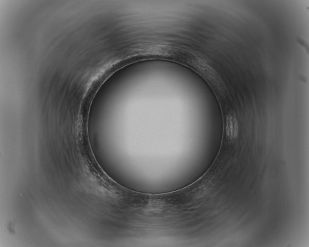 X0000103420388200809191642