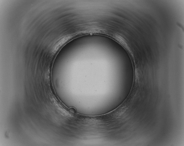 X0000103420389200809191642