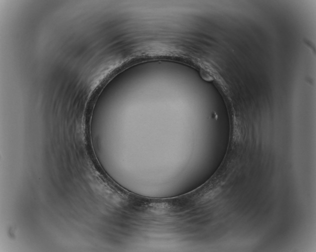 X0000103420391200809191642