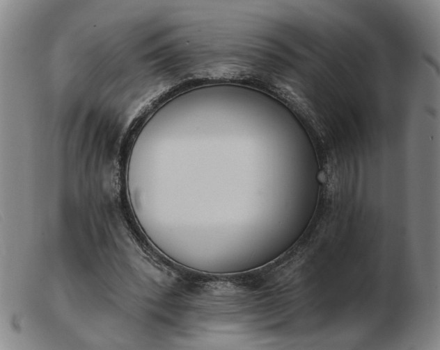 X0000103420392200809191642