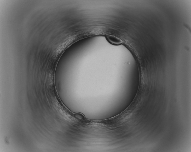 X0000103420393200809191642