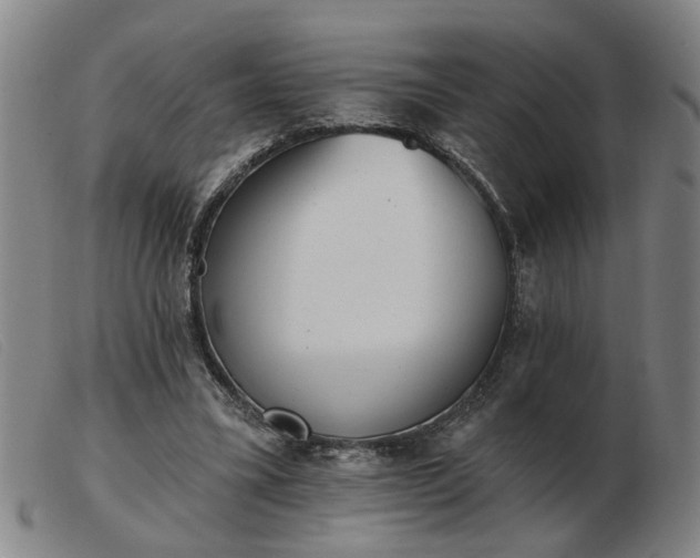X0000103420395200809191642