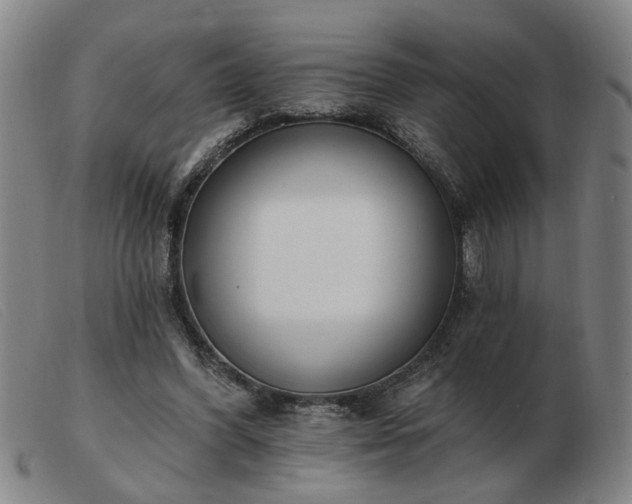 X0000103420396200809191642