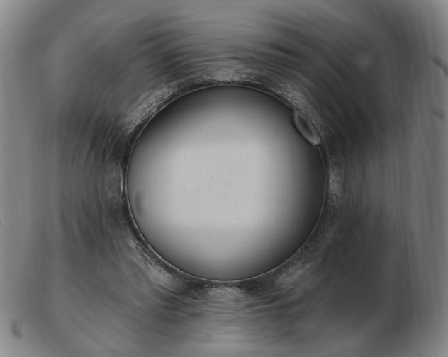 X0000103420397200809191642