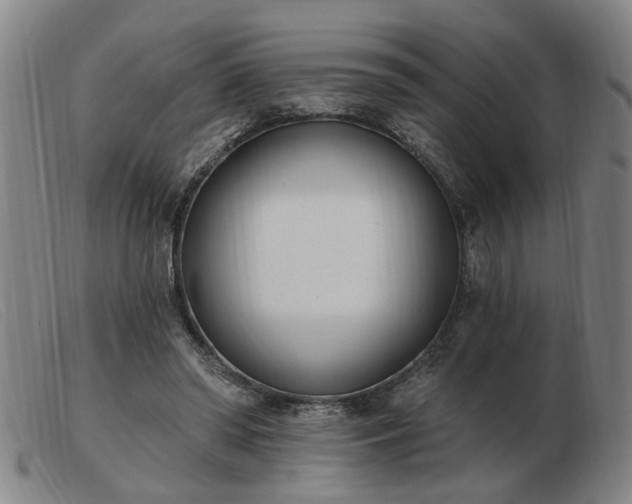 X0000103420398200809191642