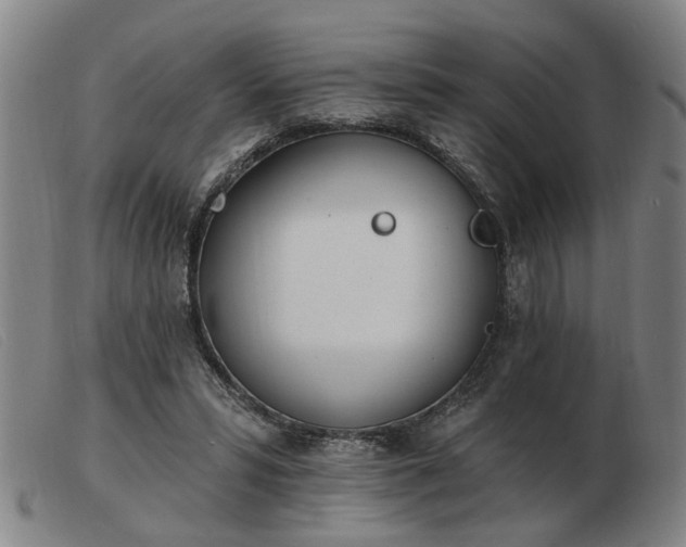X0000103420399200809191642