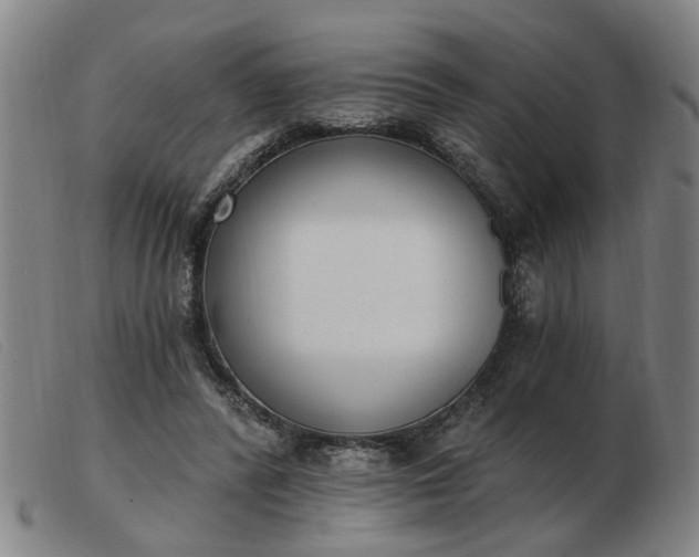 X0000103420400200809191642