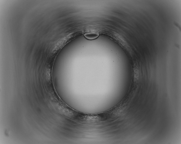 X0000103420401200809191642