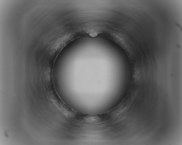 X0000103420402200809191642
