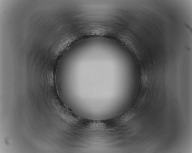 X0000103420403200809191642