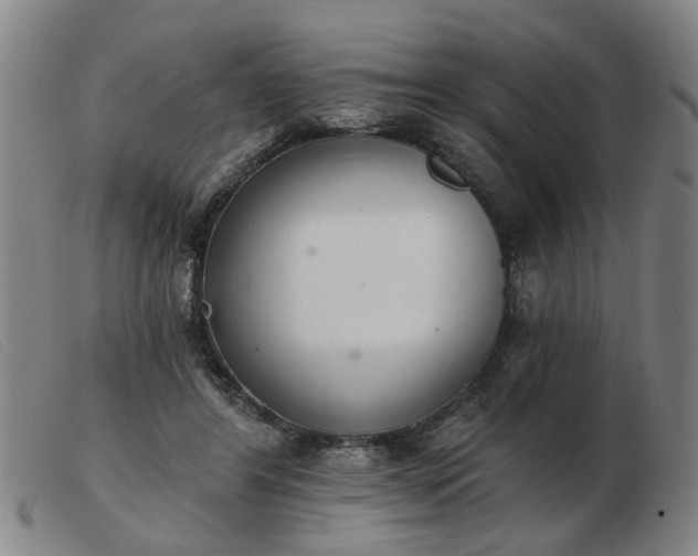 X0000103420404200809191642