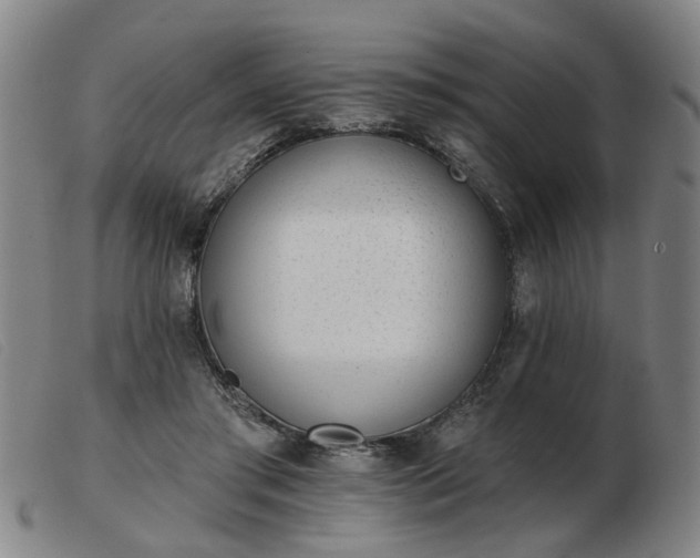 X0000103420405200809191642