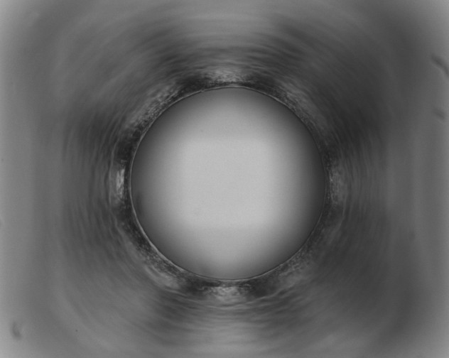 X0000103420406200809191642