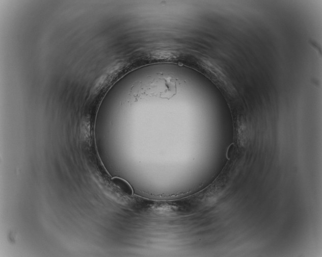 X0000103420407200809191642