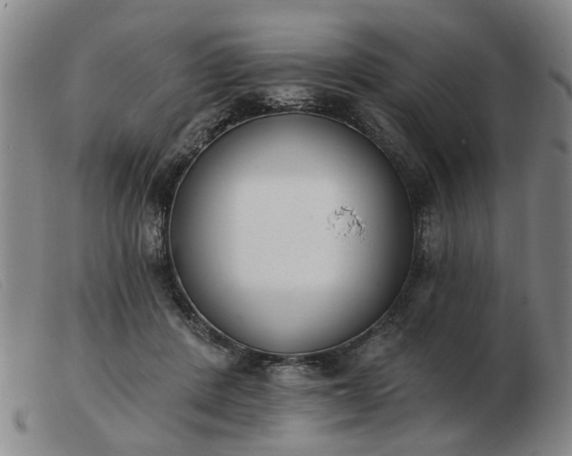 X0000103420408200809191642