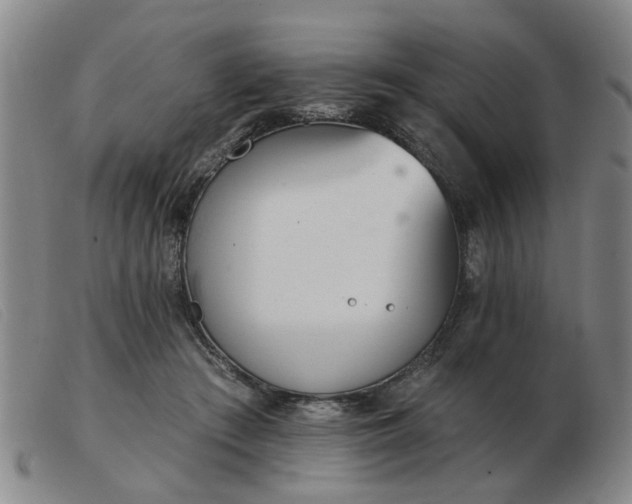 X0000103420409200809191642