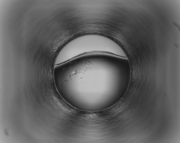 X0000103420411200809191642