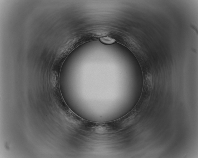 X0000103420412200809191642