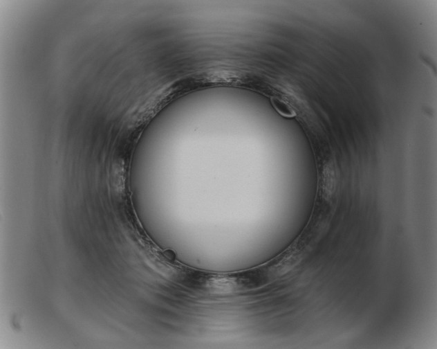 X0000103420413200809191642