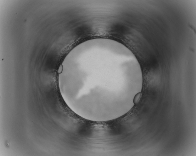 X0000103420415200809191642