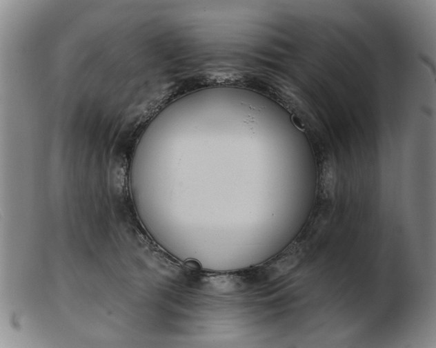 X0000103420417200809191642