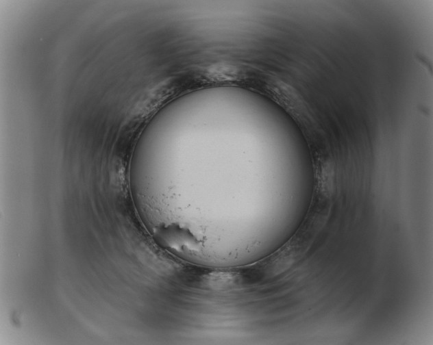 X0000103420418200809191642