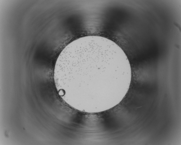 X0000103420419200809191642