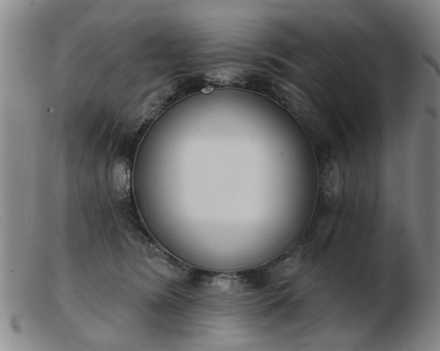 X0000103420420200809191642