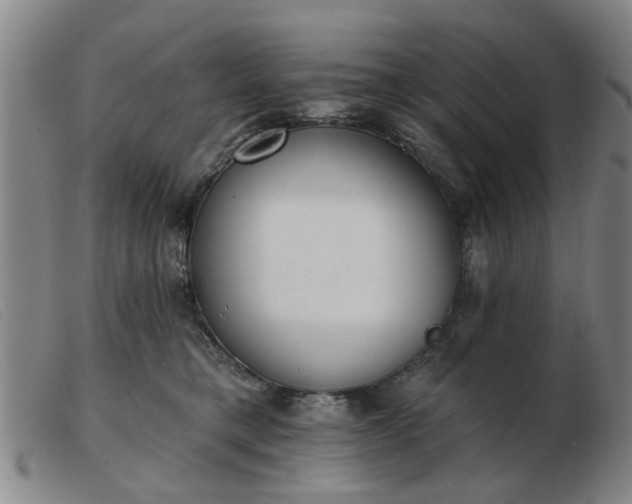 X0000103420421200809191642