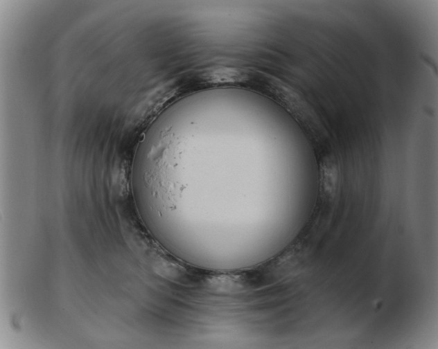 X0000103420422200809191642