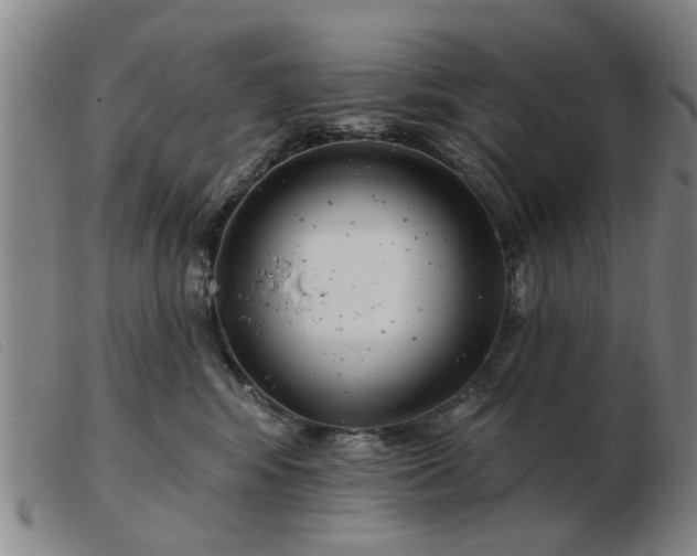 X0000103420424200809191642
