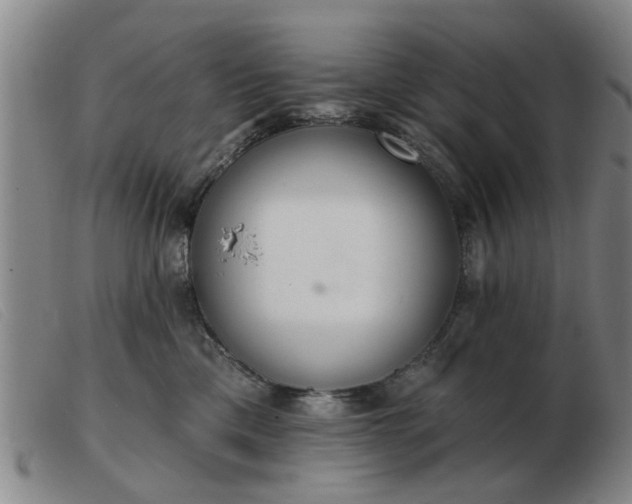 X0000103420425200809191642