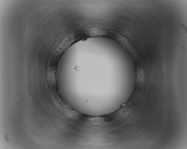 X0000103420426200809191642