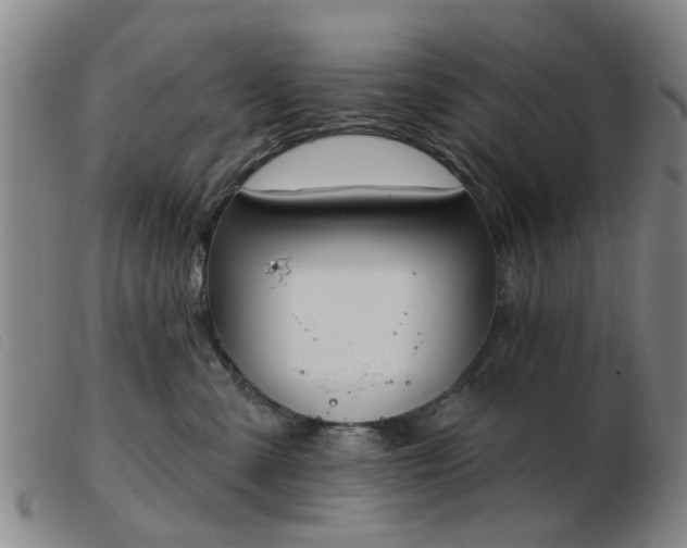 X0000103420427200809191642