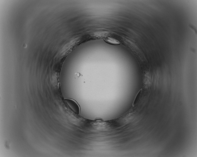 X0000103420428200809191642