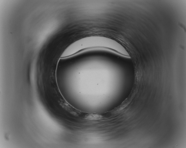 X0000103420429200809191642
