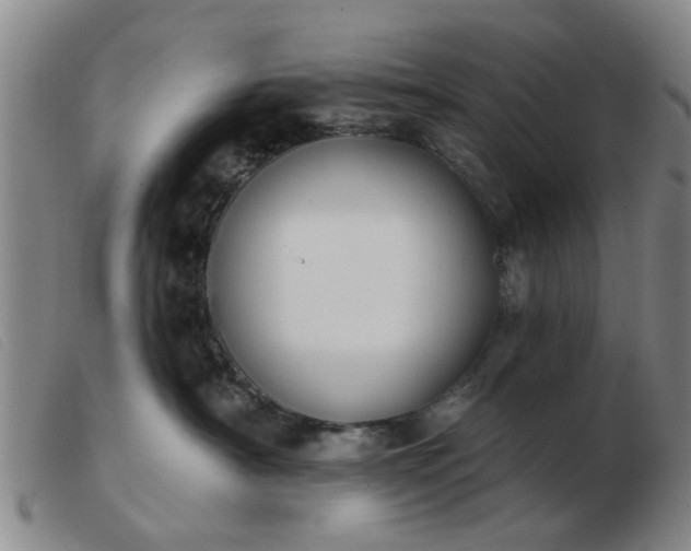 X0000103420430200809191642