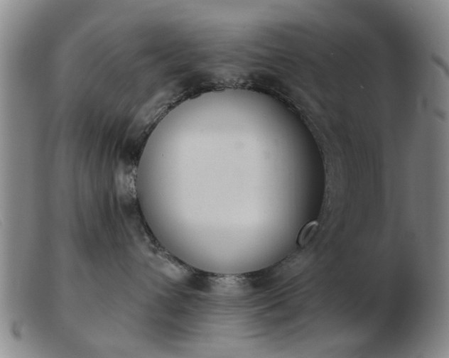 X0000103420432200809191642
