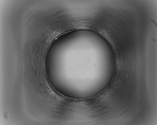X0000103420433200809191641