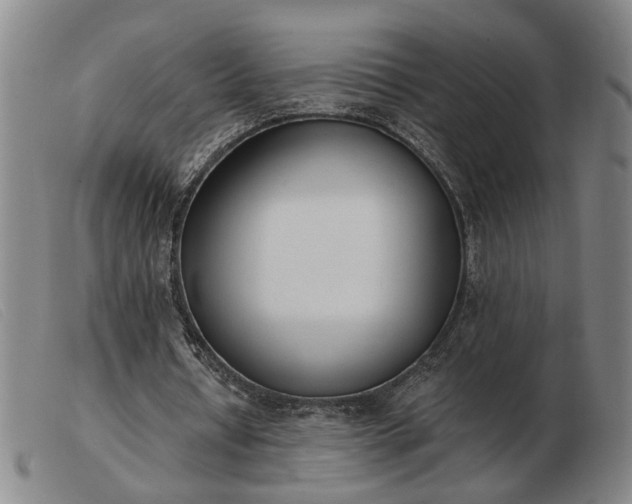 X0000103420434200809191641