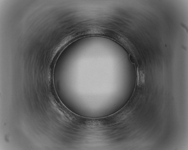 X0000103420435200809191641