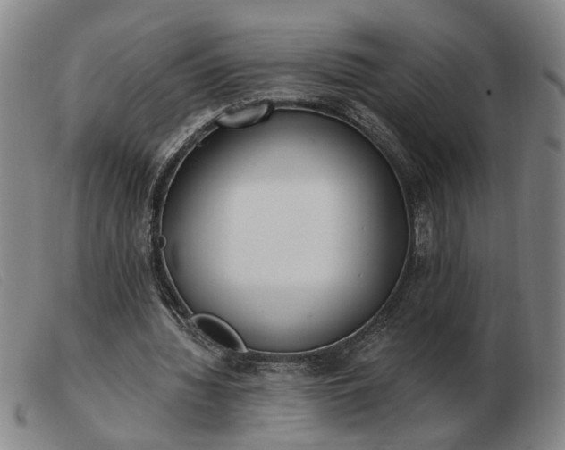 X0000103420436200809191641