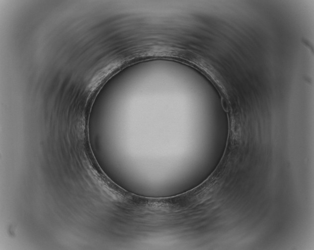 X0000103420437200809191641